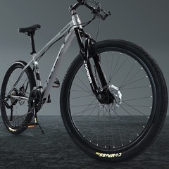 スタイリッシュで高級感のあるマウンテンバイク自転車
の画像