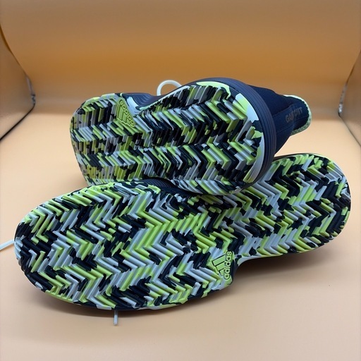 【箱付・希少サイズ】atmos adidas NMD R1 G-SNK 29cm
