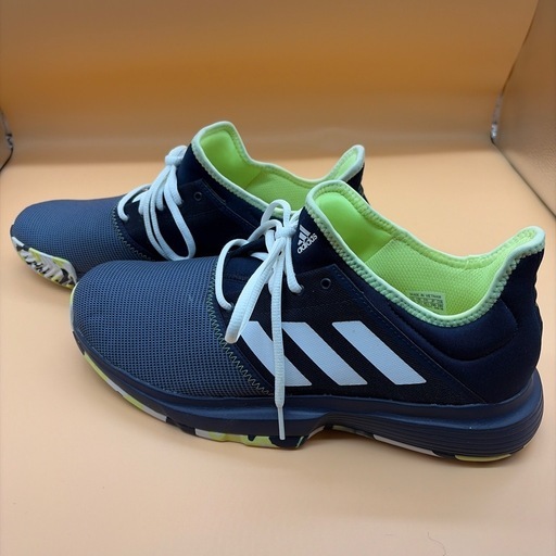 【箱付・希少サイズ】atmos adidas NMD R1 G-SNK 29cm