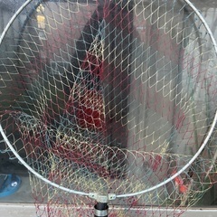 釣りタモ　4.5mの画像