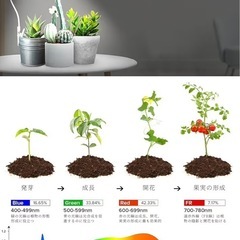 植物育成ライト 育成ライト ライト LED フルスペクトル 4段調光の画像