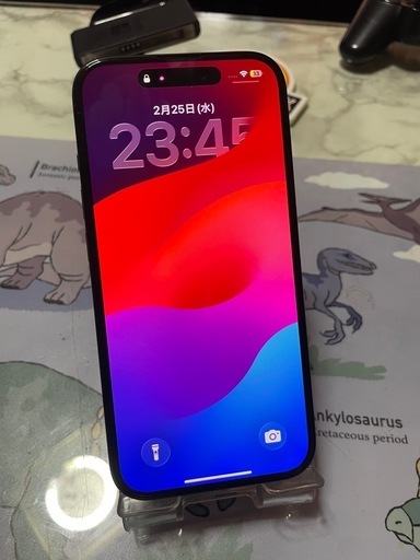 iPhone15 【完動品】