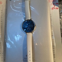 腕時計スカーゲンの画像