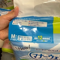 犬用オムツMの画像