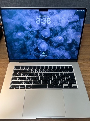 Apple MacBook Air M3 15インチ 256gb