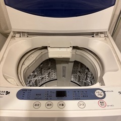 【3月8日お取引】縦型洗濯機　HERB Relax タダでお譲りしますの画像