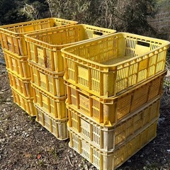 浅型コンテナの画像