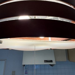 シーディングライトの画像