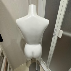 REBODY ABS  レディース　トルソー　中古品の画像