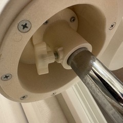 REBODY ABS  レディース　トルソー　中古品の画像