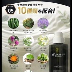 チャップアップ★ウルトラスカルプ★ノンシリコンの画像