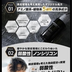 チャップアップ★ウルトラスカルプ★ノンシリコンの画像