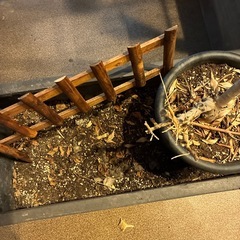 プランター土入りの画像