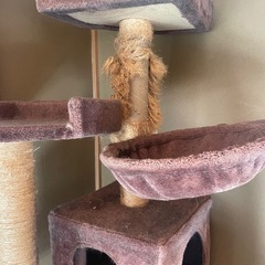猫タワーの画像