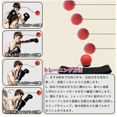 新品未使用 ボクシング パンチングボールの画像