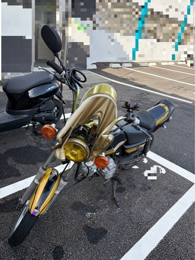 　　レアな原付　実働GS50