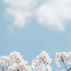 10日間協力してください😊