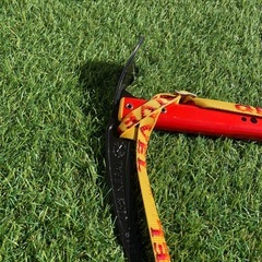 [引渡者決定]グリベル　ピッケル　ネパールSAの画像