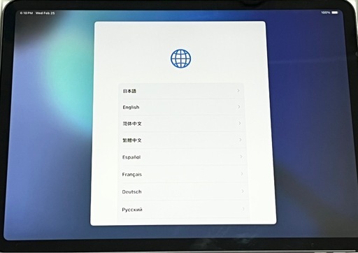 初期化済 Apple iPad pro 11インチ 第一世代 スペースグレイ