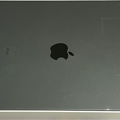 初期化済 Apple iPad pro 11インチ 第一世代 スペースグレイ の画像