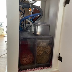 海水水槽フルセットの画像