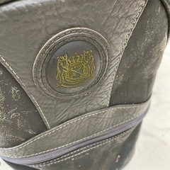 ミズノ　グランドモナーク（GRAND MONARCH）キャディーバック
の画像