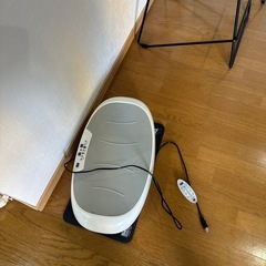 ゆらゆら健康器具の画像