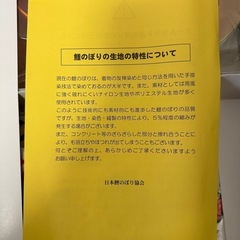 こいのぼりの画像