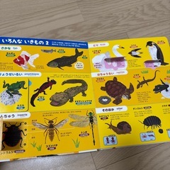 小学館の図鑑NEO まどあけずかん　いきものの画像