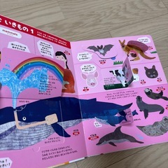 小学館の図鑑NEO まどあけずかん　いきものの画像