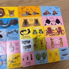 小学館の図鑑NEO まどあけずかん　いきものの画像