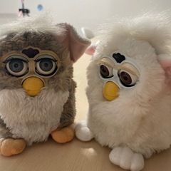 ファービージャンク品の画像