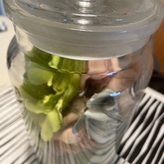 可愛いガラス瓶の画像