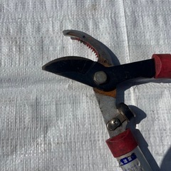 太枝切鋏　4本セットの画像