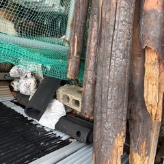 丸太　柱　古材　一本800円の画像