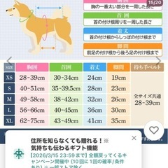 犬　介護用ハーネス　一部破損ありの画像
