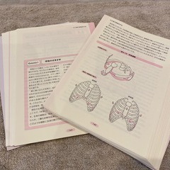 よくわかる解剖学の基本としくみの画像