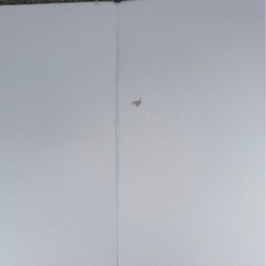 マットレスの画像