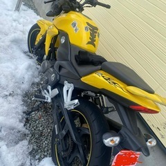 SYM T1 125ccの画像