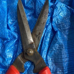 枝切りはさみの画像