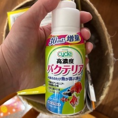 海水魚飼育セット（魚は一度も飼育してませんので綺麗です）の画像