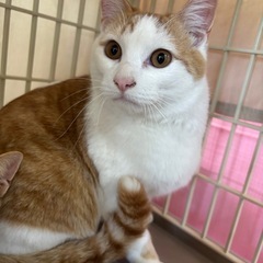 人見知りしないマシロ君🍀 3月1日（日）小郡市力武（旧）山下酒店...