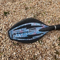 ブレイブボード／リップスティック系 2輪ボード※取り置き不可※早い者勝ちの画像