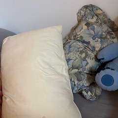 枕とぬいぐるみの画像