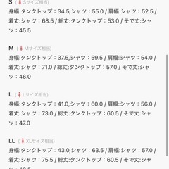 【新品未使用】Honeysハニーズ　タンクトップ付きシアーシャツの画像