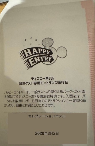 ハッピーエントリー通行証　ランド専用　3月2日　2枚
