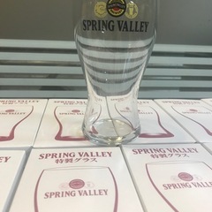 Sale‼️SPRING VALLEY パイントグラス 15個セットの画像