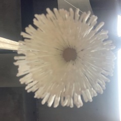 大房　白　　完成品の画像