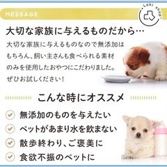 Laki ラキ 無添加 ヤギミルク パウダー オーガニック製法 犬用 猫用 ミルクの画像