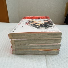 【きっと愛だから、いらない】1-4巻の画像